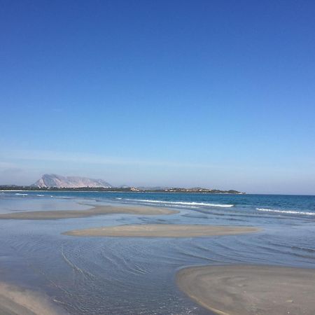 Hotel Al Faro Spiaggia La Cinta Santeodoro San Teodoro  Ngoại thất bức ảnh