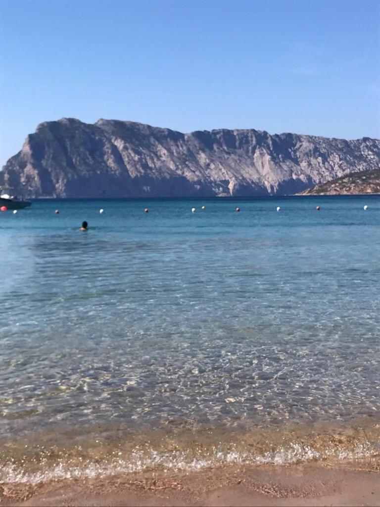 Hotel Al Faro Spiaggia La Cinta Santeodoro San Teodoro  Ngoại thất bức ảnh