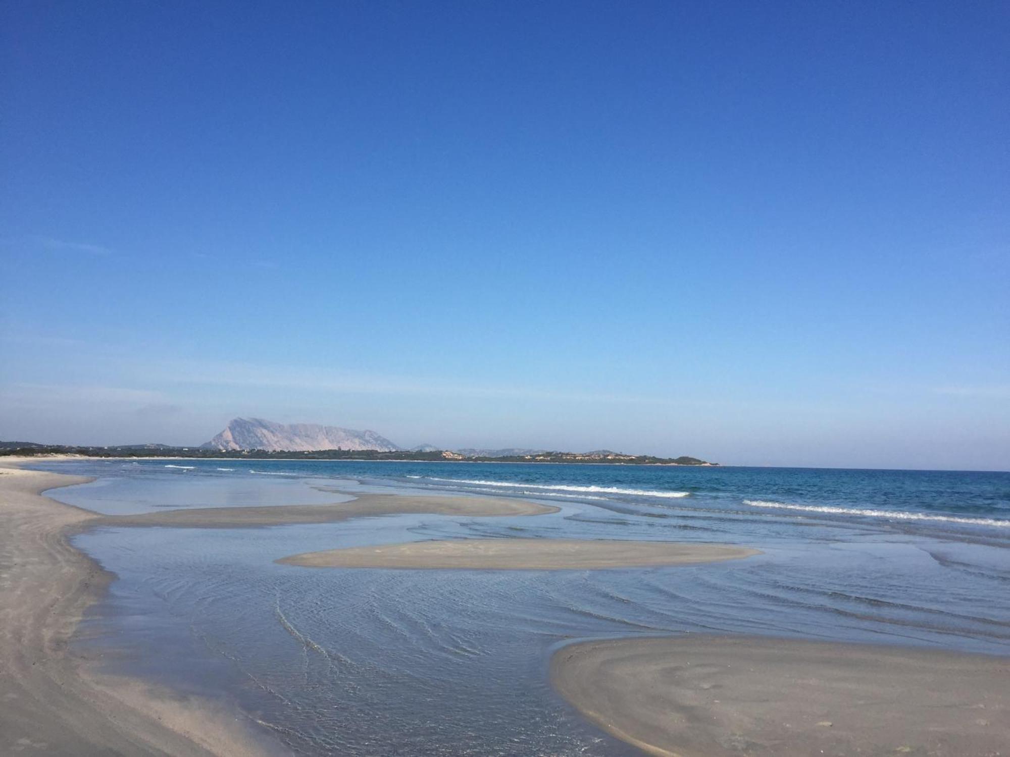 Hotel Al Faro Spiaggia La Cinta Santeodoro San Teodoro  Ngoại thất bức ảnh