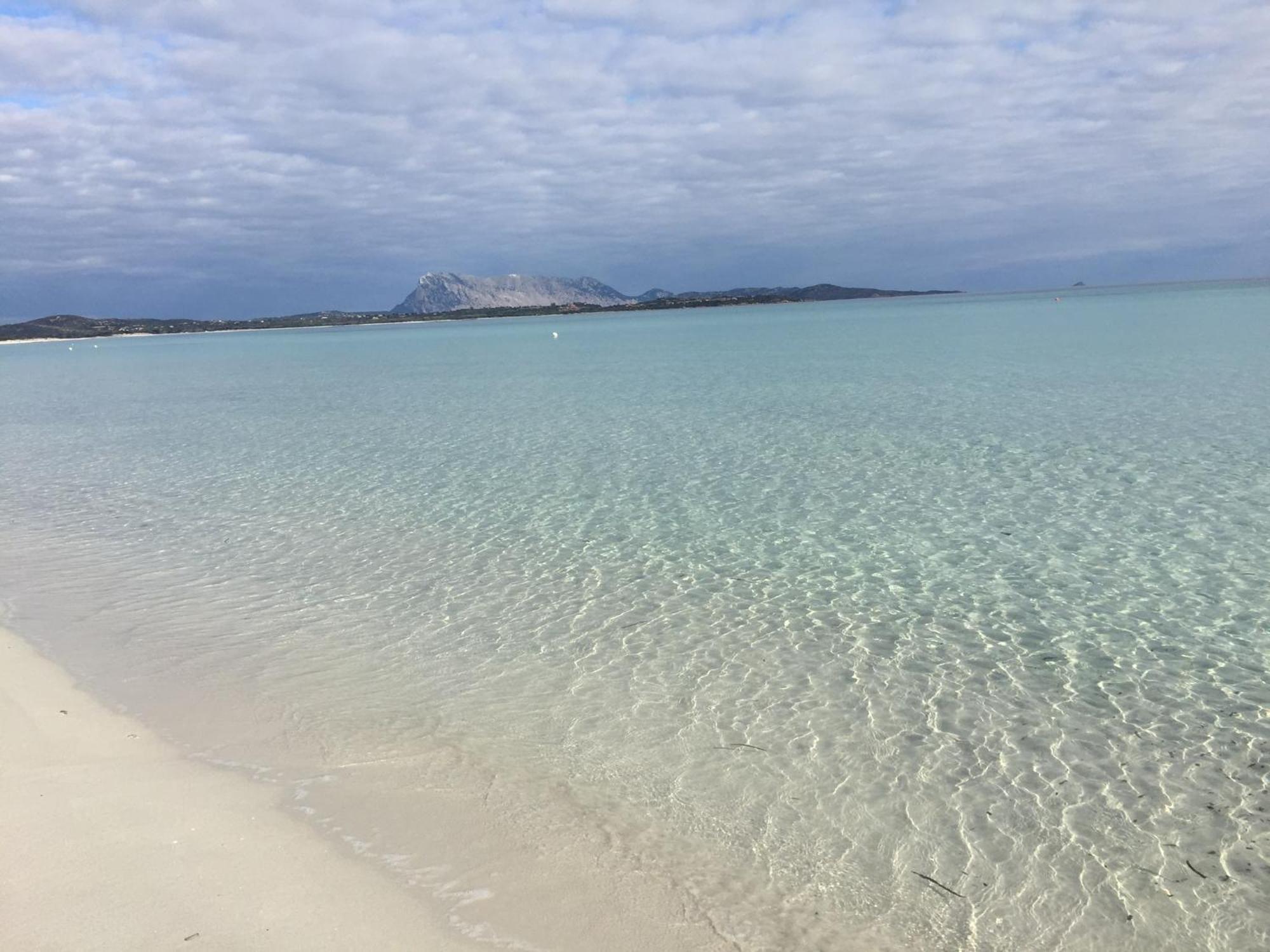 Hotel Al Faro Spiaggia La Cinta Santeodoro San Teodoro  Ngoại thất bức ảnh